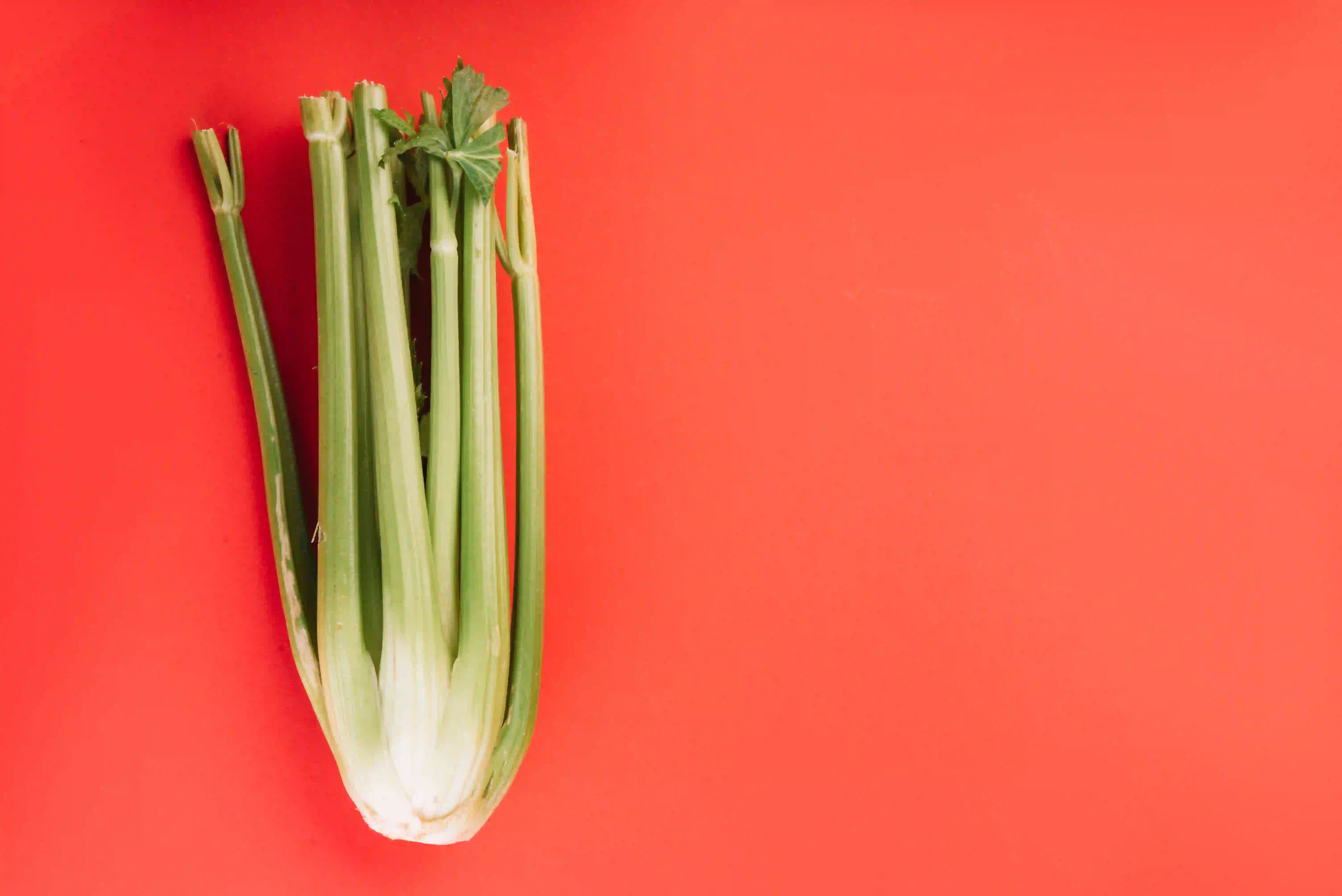 Single celery with red background on about me